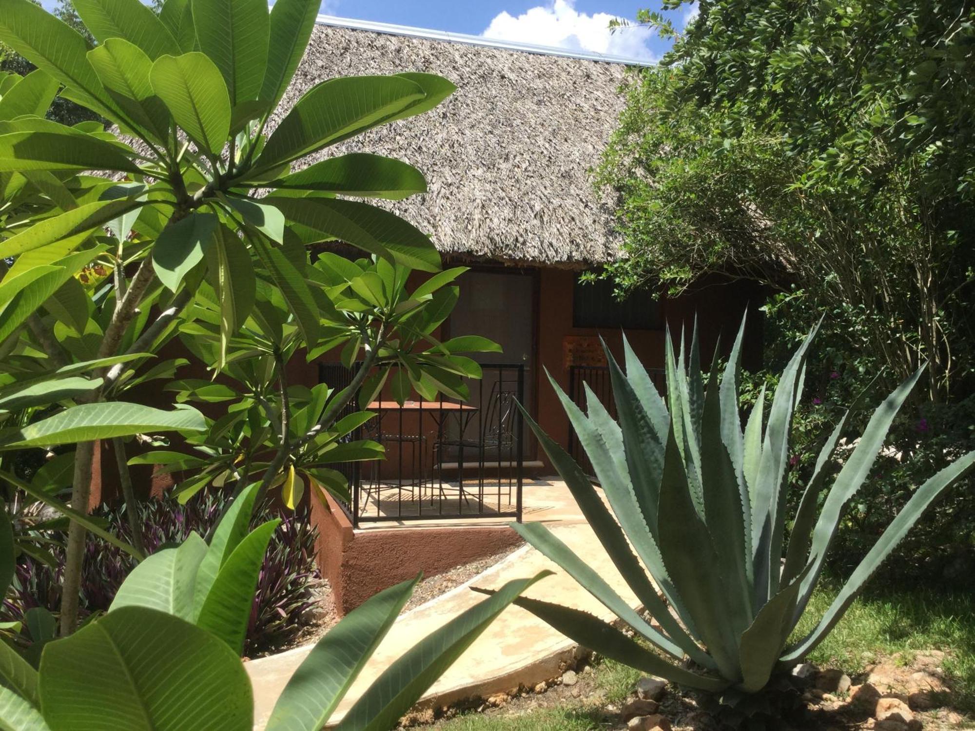 Santa Elena The Pickled Onion B&B And Restaurant Uxmal חדר תמונה