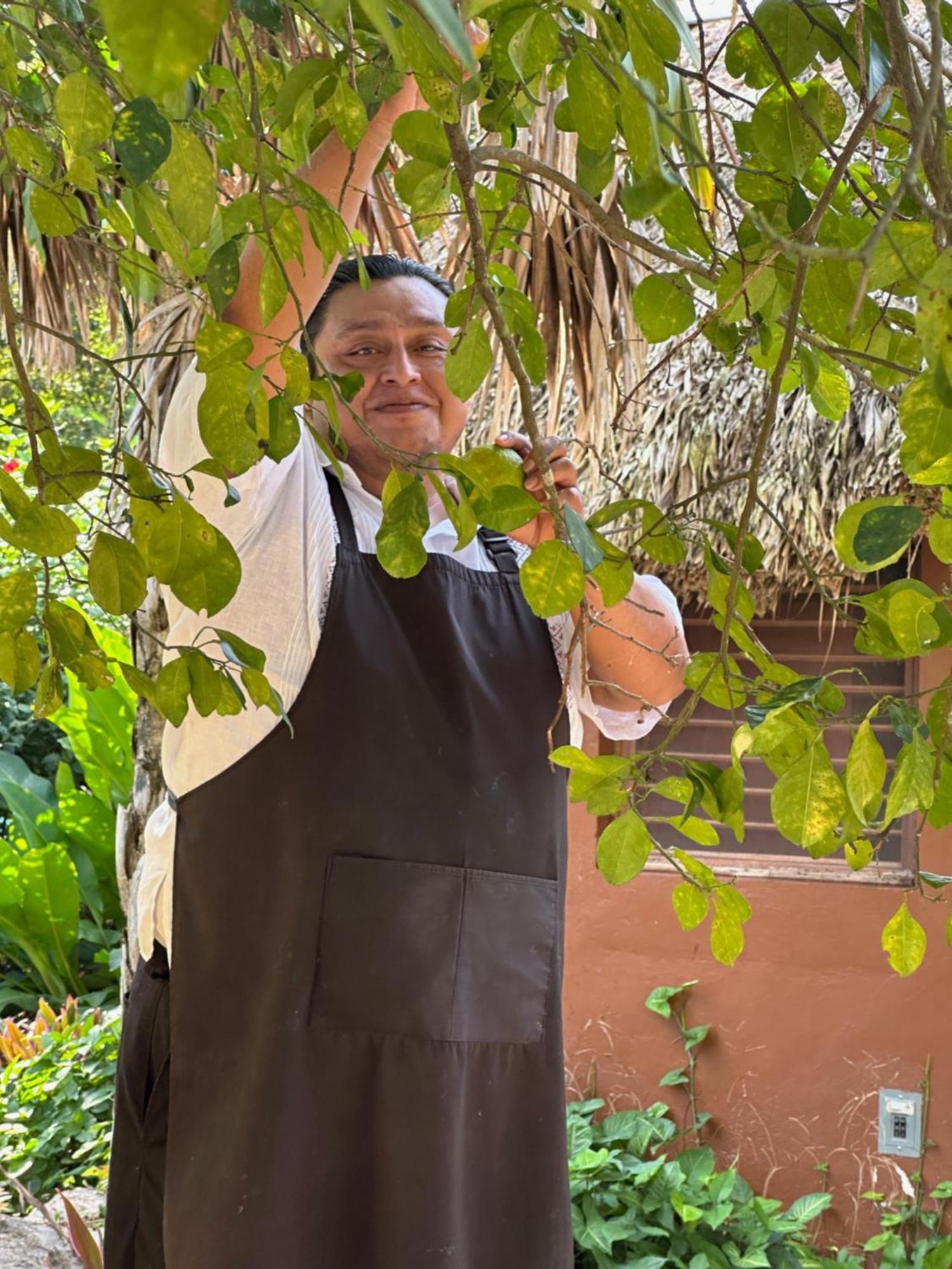 Santa Elena The Pickled Onion B&B And Restaurant Uxmal מראה חיצוני תמונה