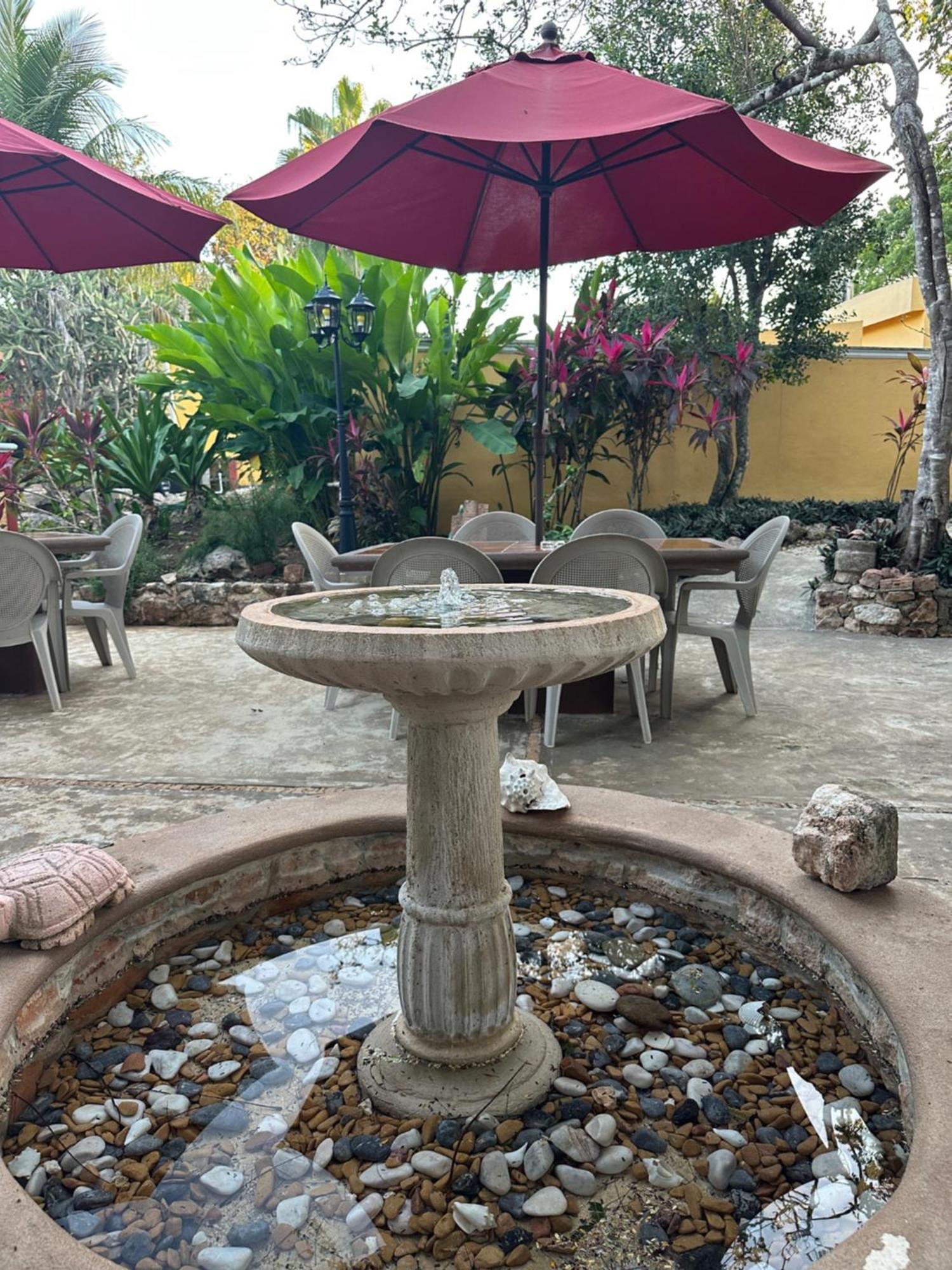 Santa Elena The Pickled Onion B&B And Restaurant Uxmal מראה חיצוני תמונה