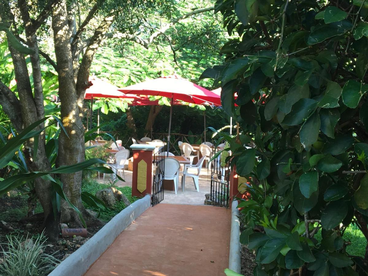 Santa Elena The Pickled Onion B&B And Restaurant Uxmal מראה חיצוני תמונה