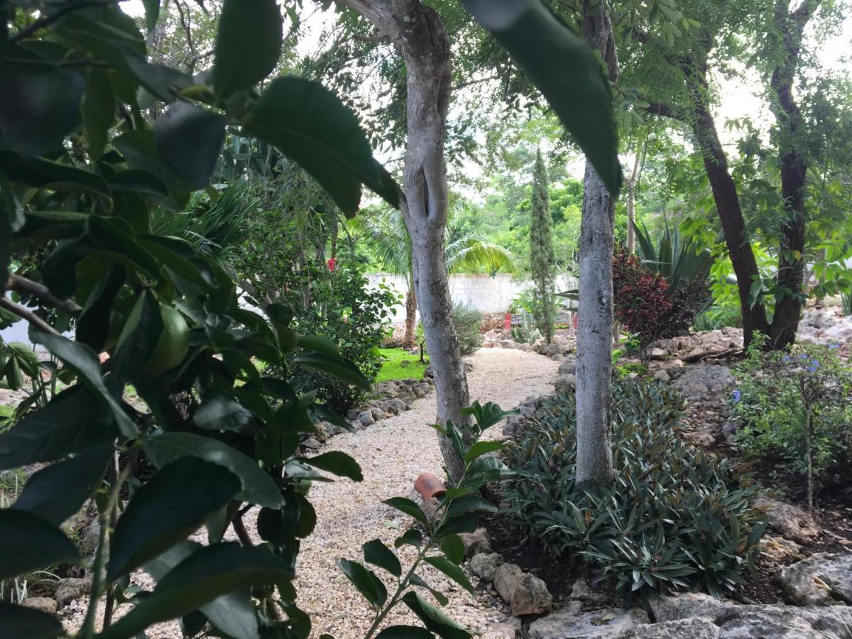 Santa Elena The Pickled Onion B&B And Restaurant Uxmal מראה חיצוני תמונה