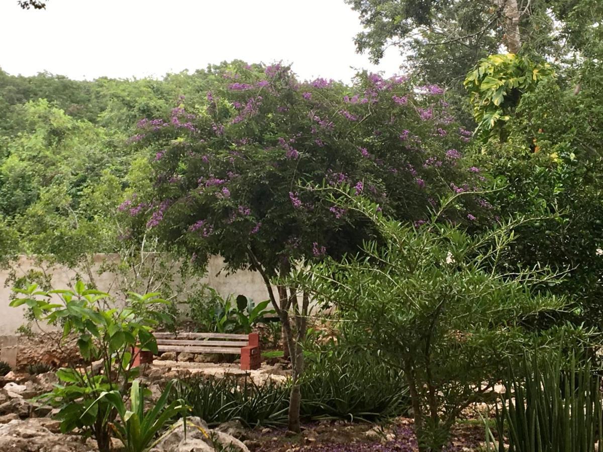 Santa Elena The Pickled Onion B&B And Restaurant Uxmal מראה חיצוני תמונה